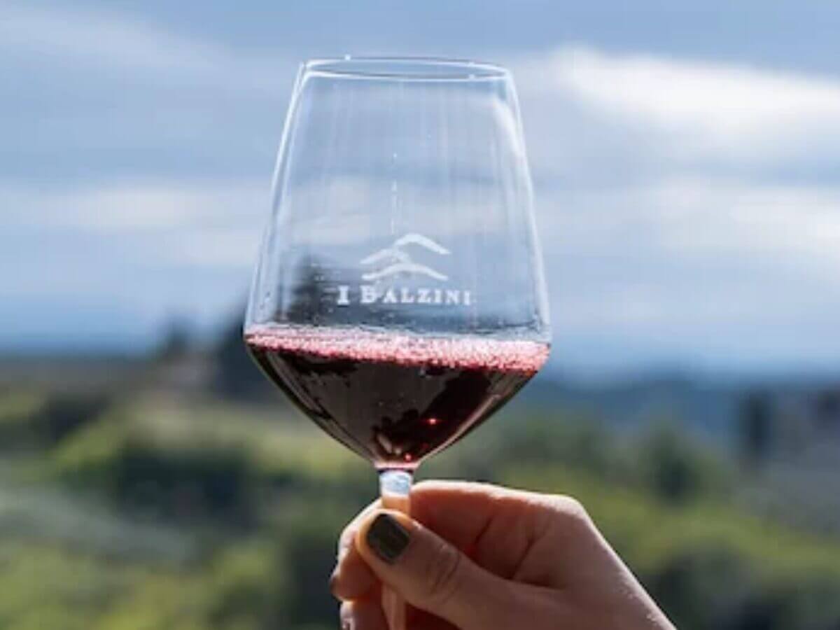 I Balzini Wine Glass